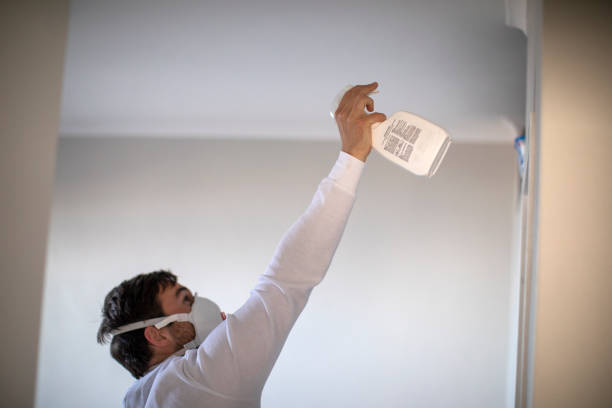 Trusted Marcus, IA Mold Remediation Experts